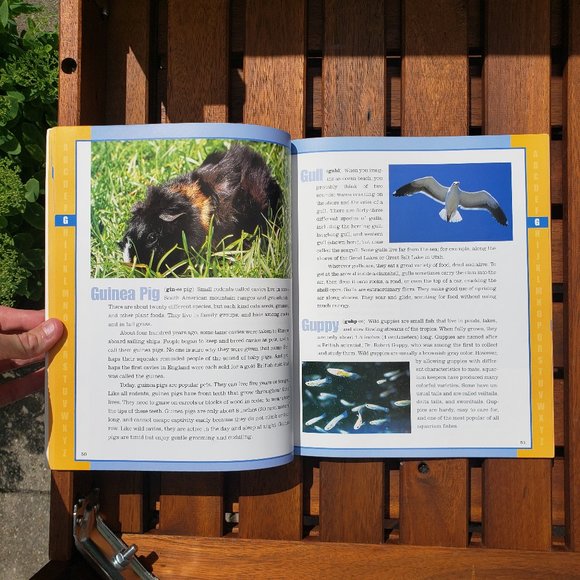 Book | Scholastic Encyclopedia of Animals - Picture 5 of 6